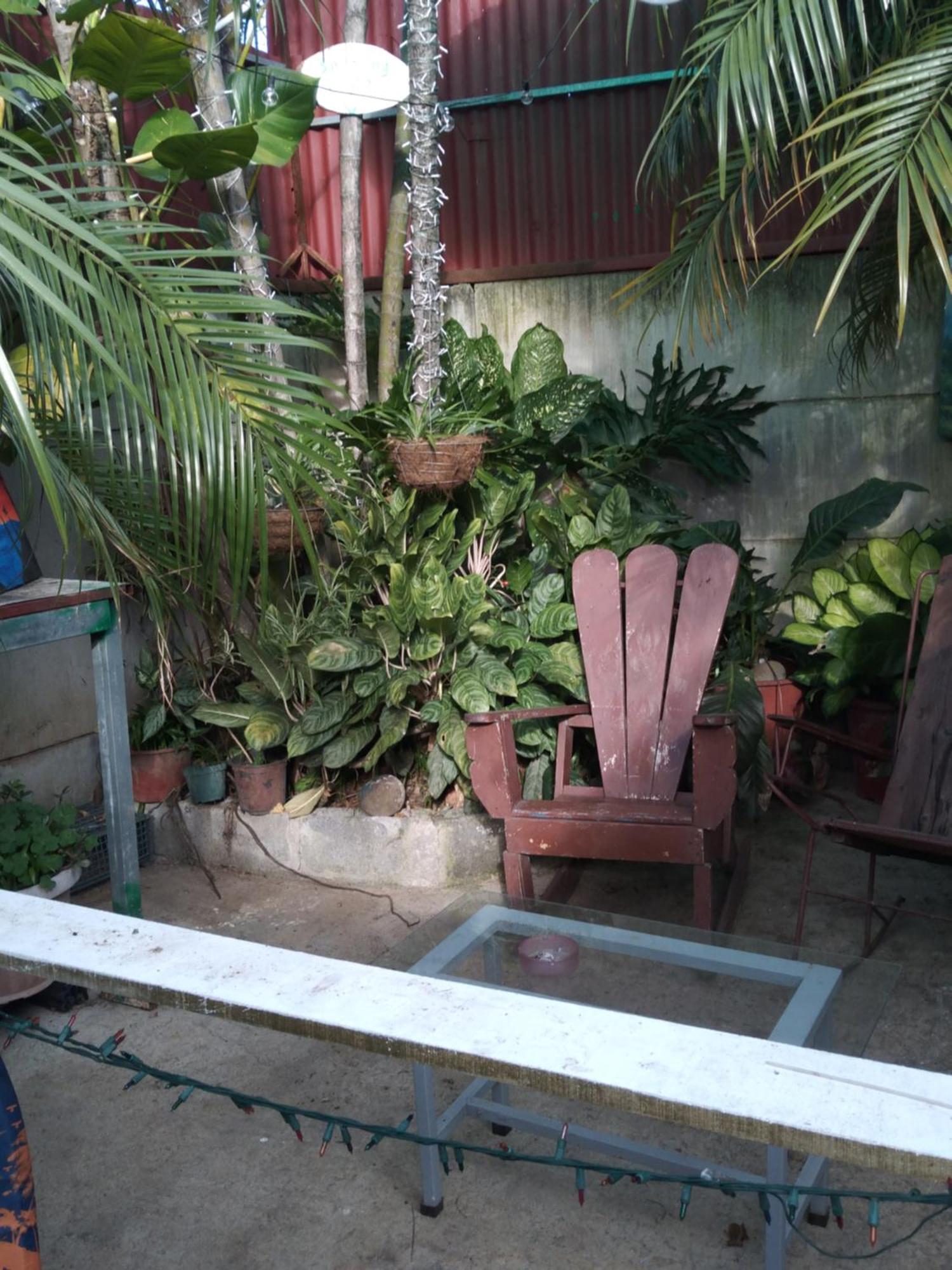 Alexander B&B Alajuela Esterno foto